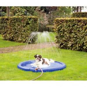 Die Sprinklermatte für Hunde ist die perfekte Lösung für heiße Sommertage und sorgt für eine erfrischende Abkühlung. Diese hochwertige und robuste Matte hat einen Durchmesser von ca. 100 cm und ist am Rand mit zahlreichen kleinen Öffnungen versehen, aus denen kühlendes Wasser spritzt, sobald sie mit dem mitgelieferten Verbindungsstück an einen Wasserschlauch angeschlossen wird. Ihr Hund kann sich einfach auf die Matte legen und die angenehmen Wasserstrahlen genießen. Mit ihrer blauen Farbe ist die Sprinklermatte nicht nur funktional, sondern auch ein echter Blickfang im Garten oder auf der Terrasse. Gönnen Sie Ihrem Hund die beste Abkühlung an heißen Tagen!" **Keywords:** Sprinklermatte, Hunde, Abkühlung, robuste Matte, kühlendes Wasser, Durchmesser 100 cm, blaue Farbe.