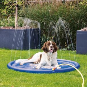 Die hochwertige Sprinklermatte bietet Hunden an heißen Tagen eine erfrischende Abkühlung und sorgt für stundenlangen Spielspaß. Mit einem Durchmesser von ca. 130 cm ist die robuste Matte ideal für große und kleine Hunde geeignet. Sie verfügt über zahlreiche kleine Öffnungen am Rand, aus denen kühlendes Wasser spritzt, sobald sie einfach mit dem mitgelieferten Verbindungsstück an einen Wasserschlauch angeschlossen wird. Ihr Hund muss sich nur auf die Matte legen und kann die erfrischenden Wasserstrahlen genießen. Diese Sprinklermatte ist nicht nur ein tolles Spielzeug, sondern auch eine praktische Lösung, um die Sommerhitze für Ihren Vierbeiner erträglicher zu machen.