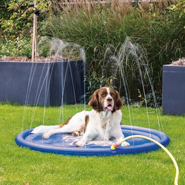 Die hochwertige Sprinklermatte bietet Hunden an heißen Tagen eine erfrischende Abkühlung und sorgt für stundenlangen Spielspaß. Mit einem Durchmesser von ca. 130 cm ist die robuste Matte ideal für große und kleine Hunde geeignet. Sie verfügt über zahlreiche kleine Öffnungen am Rand, aus denen kühlendes Wasser spritzt, sobald sie einfach mit dem mitgelieferten Verbindungsstück an einen Wasserschlauch angeschlossen wird. Ihr Hund muss sich nur auf die Matte legen und kann die erfrischenden Wasserstrahlen genießen. Diese Sprinklermatte ist nicht nur ein tolles Spielzeug, sondern auch eine praktische Lösung, um die Sommerhitze für Ihren Vierbeiner erträglicher zu machen.