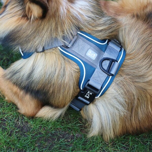 Entdecken Sie das EXPLOR Ultimate Fit No-Pull-Geschirr – das perfekte ergonomische Hundegeschirr für jeden Stadtspaziergang oder Outdoor-Abenteuer. Dieses durchdachte Anti-Zieh-Geschirr sorgt dafür, dass Ihr Hund optimale Bewegungsfreiheit hat, da der Druck beim Ziehen gleichmäßig über die Brust verteilt wird. So bleiben lebenswichtige Organe im Nacken geschützt. Mit zwei robusten Edelstahl-Befestigungsringen, einem D-Ring im Brustbereich zur Kontrolle von ziehenden Hunden und einem Rückenring für ruhige oder ältere Hunde, bietet es maximale Flexibilität. Das verstellbare Design um Nacken und Brust passt für nahezu alle Hunde und die praktischen Schnallen in der Mitte erleichtern das Anlegen. Hergestellt aus strapazierfähigem, leichtem und atmungsaktivem Material, trocknet das Geschirr schnell und schützt das Fell vor Wundscheuern. Reflektierende Paspeln gewährleisten optimale Sichtbarkeit im Straßenverkehr, während eine spezielle Innentasche für ID-Anhänger zusätzlichen Komfort bietet. Rausgehen und die Welt erkunden war noch nie so einfach!