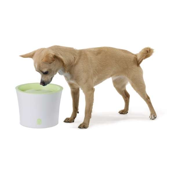 Der **Catit Fresh + Clear Trinkbrunnen** ist die ideale Lösung für Katzen und kleine Hunde, die frisches, gefiltertes Wasser lieben. Mit einem großzügigen **Fassungsvermögen von 3 Litern** ist dieser Trinkbrunnen perfekt für Haushalte mit mehreren Tieren geeignet. Er sorgt für eine kontinuierliche Quelle von **frisch schmeckendem, kaltem Wasser**, das Ihre Tiere dazu anregt, mehr zu trinken und so Harnwegserkrankungen vorzubeugen. Dank der großen Oberfläche des Brunnens wird das Wasser optimal mit Sauerstoff angereichert, was zu einem besseren Geschmack führt. Die mehrstufige **Filterung** entfernt Schmutz, Futterreste und Haare, während die Aktivkohle effektiv Wasserverunreinigungen absorbiert. Die Wasserzirkulation kühlt das Wasser zusätzlich und sorgt für ein erfrischendes Trinkerlebnis. Mit den kompakten Gesamtmaßen von ca. **21 x 21 x 16,8 cm** und einer Trinkhöhe von ca. **15 cm** passt der Brunnen in jede Wohnung. **Im Aktionsset enthalten** sind zudem der **Hagen Catit/Dogit 2-in-1 Napf Green Zebra**, ein hochwertiger Napf mit Edelstahleinsatz, der sich leicht reinigen lässt und rutschfest ist, sowie ein **Luffa-Katzenspielzeug mit Katzenminze** für zusätzlichen Spielspaß. Gönnen Sie Ihrem Haustier das Beste mit diesem praktischen Set!