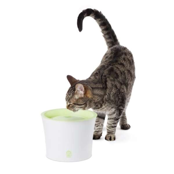 Der **Catit Fresh + Clear Trinkbrunnen** ist die ideale Lösung für Katzen und kleine Hunde, die frisches, gefiltertes Wasser lieben. Mit einem großzügigen **Fassungsvermögen von 3 Litern** ist dieser Trinkbrunnen perfekt für Haushalte mit mehreren Tieren geeignet. Er sorgt für eine kontinuierliche Quelle von **frisch schmeckendem, kaltem Wasser**, das Ihre Tiere dazu anregt, mehr zu trinken und so Harnwegserkrankungen vorzubeugen. Dank der großen Oberfläche des Brunnens wird das Wasser optimal mit Sauerstoff angereichert, was zu einem besseren Geschmack führt. Die mehrstufige **Filterung** entfernt Schmutz, Futterreste und Haare, während die Aktivkohle effektiv Wasserverunreinigungen absorbiert. Die Wasserzirkulation kühlt das Wasser zusätzlich und sorgt für ein erfrischendes Trinkerlebnis. Mit den kompakten Gesamtmaßen von ca. **21 x 21 x 16,8 cm** und einer Trinkhöhe von ca. **15 cm** passt der Brunnen in jede Wohnung. **Im Aktionsset enthalten** sind zudem der **Hagen Catit/Dogit 2-in-1 Napf Green Zebra**, ein hochwertiger Napf mit Edelstahleinsatz, der sich leicht reinigen lässt und rutschfest ist, sowie ein **Luffa-Katzenspielzeug mit Katzenminze** für zusätzlichen Spielspaß. Gönnen Sie Ihrem Haustier das Beste mit diesem praktischen Set!