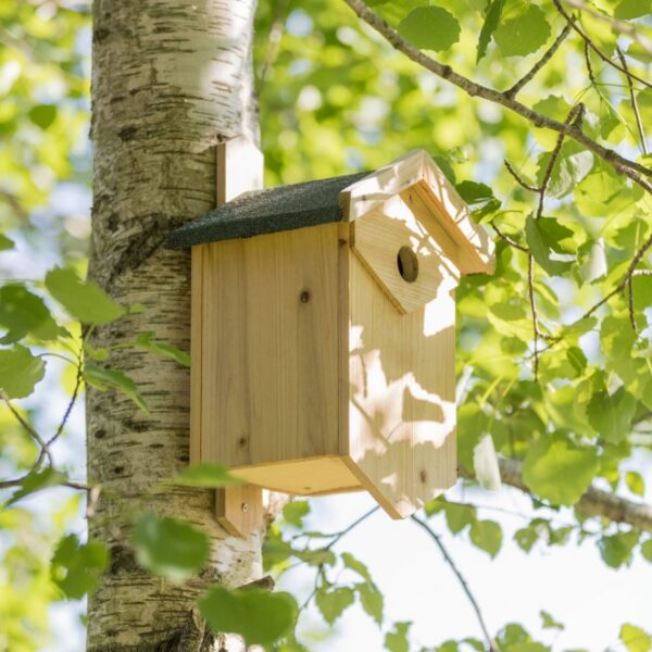 Dieser wetterfeste Nistkasten aus unbehandeltem Kiefernholz ist die ideale Lösung für Vogelliebhaber, die ihren Garten mit Leben füllen möchten. Mit einer praktischen aufklappbaren Seitenwand lässt sich der Nistkasten leicht reinigen und inspizieren. Die besandete Dachpappe sorgt für zusätzlichen Schutz vor Witterungseinflüssen und erhöht die Langlebigkeit des Produkts. Mit den kompakten Maßen von ca. 25 × 40 × 22 cm und einem Eingang von ca. 3,4 cm Durchmesser ist dieser Nistkasten perfekt geeignet für beliebte Vogelarten wie Kleiber und Kohlmeisen. Schaffen Sie einen sicheren Rückzugsort für Vögel in Ihrem Garten und genießen Sie die Freude am Beobachten dieser faszinierenden Tiere!