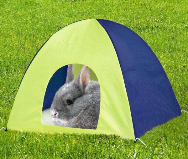 Entdecken Sie das ideale Kleintierzelt für den In- und Outdoor-Bereich! Dieses praktische Zelt ist nicht nur bei 30° waschbar, sondern lässt sich auch platzsparend zusammenlegen, wenn es nicht in Gebrauch ist. Mit einer Größe von ca. 38 x 38 x 30 cm bietet es ausreichend Platz für Ihre kleinen Haustiere und sorgt für ihren Komfort dank der herausnehmbaren Liegedecke. Erhältlich in den ansprechenden Farben Hellgrün-Blau, Hellgrün-Schwarz und Hellgrün-Grau (Farbwahl je nach Lagerbestand). Dieses hochwertige Kleintierzelt ist der perfekte Rückzugsort für Ihre Tiere und überzeugt durch seine hohe Qualität und Benutzerfreundlichkeit. Ideal für Tierliebhaber, die Wert auf Funktionalität und Stil legen!
