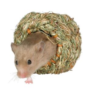 Unser hochwertiges Grasnest für Kleinnager ist die perfekte Rückzugsmöglichkeit für Hamster, Mäuse und andere kleine Tiere. Hergestellt aus 100% natürlichen Materialien, bietet dieses Nest nicht nur einen sicheren und gemütlichen Ort zum Verstecken, sondern fördert auch das natürliche Verhalten Ihrer Haustiere. Mit einem Durchmesser von ca. 9 cm ist es ideal für kleine Nager, die einen ruhigen Platz zum Entspannen suchen. Wählen Sie unser Grasnest für eine hohe Qualität und ein günstiges Preis-Leistungs-Verhältnis, das das Wohlbefinden Ihrer kleinen Freunde unterstützt.