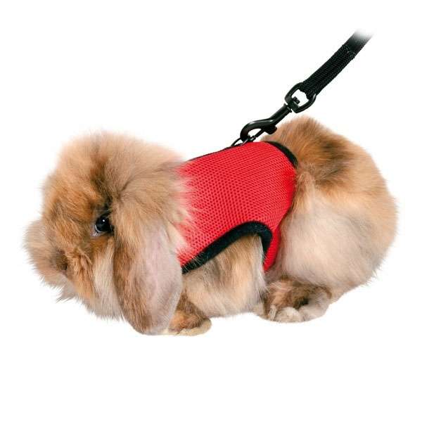 Dieses hochwertige Softgeschirr für Meerschweinchen ist aus strapazierfähigem Mesh-Material und robustem Nylon gefertigt und bietet dank einer vollelastischen Leine optimalen Komfort und Sicherheit. Es eignet sich nicht nur perfekt für Meerschweinchen, sondern auch für Kaninchenbabys und Frettchen. Die weiche Polsterung sorgt für einen angenehmen Tragekomfort, während der zusätzliche Nylongurt mit Schnappverschluss einen sicheren Sitz gewährleistet. Das Geschirr ist im Brust- und Bauchbereich stufenlos verstellbar und lässt sich durch praktische Klettverschlüsse schnell und einfach anlegen. Zudem kann das Geschirr bei 30°C per Handwäsche problemlos gereinigt werden. Mit einem Bauchumfang von ca. 18 - 25 cm und einer Leinenlänge von ca. 1,20 m ist es ideal für kleine Haustiere. Die verschiedenen Farben sorgen für eine individuelle Note, wobei die Farbwahl je nach Lagerbestand erfolgt. Entscheiden Sie sich für dieses praktische und bequeme Geschirr, um Ihrem kleinen Freund ein sicheres und angenehmes Trageerlebnis zu bieten!