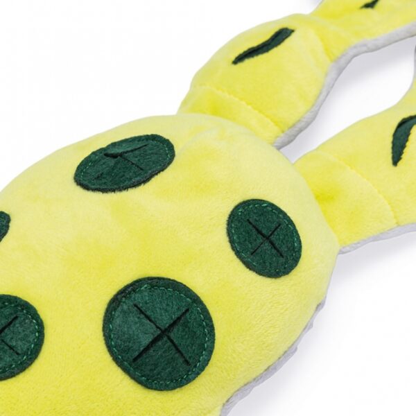 Beeztees Hide And Seek Frosch – Bild 3