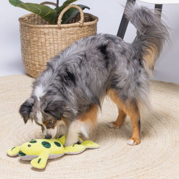 Beeztees Hide And Seek Frosch – Bild 4