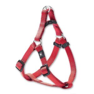Dieser hochwertige Hundehalsband bietet eine einfache und bequeme Handhabung dank seiner ausgeklügelten Konstruktion. Es ist stufenlos verstellbar und passt sich somit perfekt an jeden Brustumfang von ca. 36 bis 52 cm an. Hergestellt aus stabilem Nylonmaterial, garantiert es eine hohe Qualität und Langlebigkeit. Die verchromten Beschläge sorgen nicht nur für ein elegantes Design, sondern auch für zusätzliche Sicherheit. Mit einem praktischen Sicherheitsverschluss ausgestattet, ist dieses Halsband ideal für alle Hunde. Wählen Sie ein zuverlässiges und stilvolles Halsband, das sowohl Komfort als auch Sicherheit für Ihren Vierbeiner bietet!
