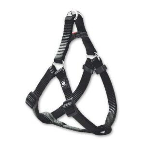 Dieser hochwertige Nylon-Gurt bietet eine einfache und bequeme Handhabung dank seiner durchdachten Konstruktion. Er ist stufenlos verstellbar und passt sich somit perfekt an einen Brustumfang von ca. 72 bis 110 cm an. Mit einer Breite von 25 mm sorgt er für optimalen Tragekomfort. Die stabilen, verchromten Beschläge und der integrierte Sicherheitsverschluss gewährleisten höchste Sicherheit und Langlebigkeit. Ideal für alle, die Wert auf Qualität und Funktionalität legen – dieser Gurt ist die perfekte Wahl für jeden Einsatz!