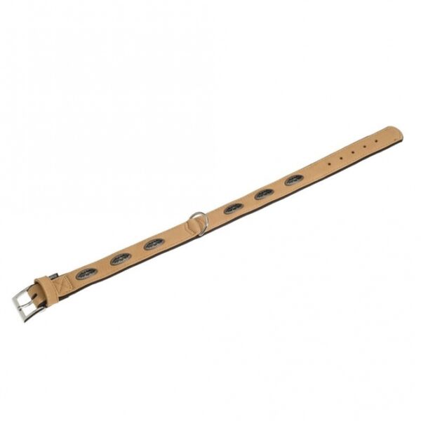 Diese stilvolle Kunstleder-Gürtel ist mit edlen Ornament-Nieten verziert und bietet eine perfekte Kombination aus Eleganz und Funktionalität. Mit einer Gesamtlänge von ca. 70 cm und einer Breite von ca. 40 mm passt er ideal zu verschiedenen Outfits. Der Gürtel ist geriegelt, abgenäht und gebuggt, was für eine hohe Stabilität und Langlebigkeit sorgt. Die stabilen verchromten Beschläge und die weiche Unterlage sorgen für einen angenehmen Tragekomfort. Investieren Sie in diesen hochwertigen Gürtel und setzen Sie modische Akzente in Ihrem Look!