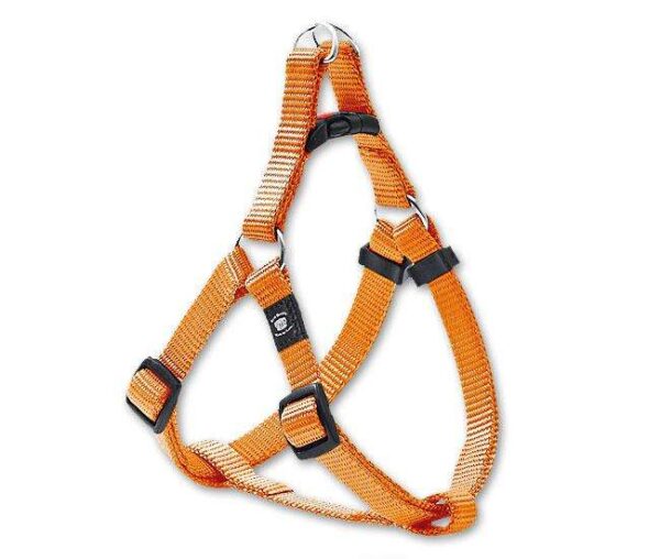Diese hochwertige Nylon-Hundeleine bietet eine einfache und bequeme Handhabung dank ihrer ausgeklügelten Konstruktion. Sie ist stufenlos verstellbar und passt sich somit optimal an Brustumfänge von ca. 36 bis 52 cm an. Die strapazierfähigen Materialien sorgen für hohe Qualität und Langlebigkeit, während die verchromten Beschläge nicht nur modern aussehen, sondern auch zusätzlichen Schutz bieten. Der integrierte Sicherheitsverschluss gewährleistet, dass Ihr Hund stets sicher ist. Mit einer Breite von 10 mm ist diese Leine ideal für alle Hundegrößen und macht jeden Spaziergang zu einem angenehmen Erlebnis. Wählen Sie diese praktische und zuverlässige Hundeleine für eine stressfreie Zeit im Freien!