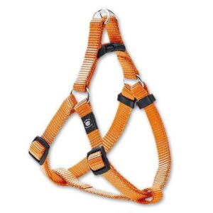Dieser hochwertige Nylon-Gurt bietet eine einfache und bequeme Handhabung dank seiner ausgeklügelten Konstruktion. Er ist stufenlos verstellbar und passt sich optimal an einen Brustumfang von ca. 53 bis 77 cm an. Der Gurt ist aus stabilem Nylonmaterial gefertigt und mit verchromten Beschlägen ausgestattet, die für zusätzliche Langlebigkeit sorgen. Zudem verfügt er über einen Sicherheitsverschluss, der einen sicheren Sitz garantiert. Mit einer Breite von 20 mm ist dieser Gurt nicht nur funktional, sondern auch komfortabel zu tragen. Ideal für alle, die Wert auf hohe Qualität und zuverlässige Sicherheit legen!
