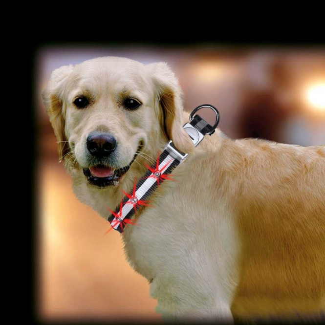 Erhöhen Sie die Sicherheit Ihres Hundes bei Dunkelheit mit unserem hochwertigen LED Halsband! Dieses super helle, rot blinkende Halsband bietet eine Sichtbarkeit von bis zu 300 m, sodass Ihr Vierbeiner jederzeit gut erkennbar ist. Das strapazierfähige Nylonmaterial sorgt für Langlebigkeit, während die reflektierenden Elemente zusätzlichen Schutz bieten. Das Halsband ist sofort einsatzbereit, da es mit Batterien geliefert wird. Mit einer verstellbaren Länge von ca. 45 - 65 cm und einer Breite von ca. 25 mm ist es ideal für Hunde jeder Größe. Investieren Sie in die Sicherheit Ihres Hundes – für gemütliche Abendspaziergänge ohne Sorgen!