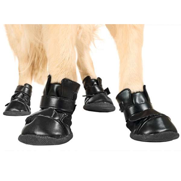 Diese hochwertigen Xtreme Boots bieten optimalen Schutz für Ihren Hund beim Trekking, Outdoor-Aktivitäten, auf der Straße sowie gegen Grasmilben und Streusalz. Ihre spezielle anatomische Form sorgt für einen perfekten Sitz und Halt, während der extra lange Klettverschluss eine komfortable Passform garantiert. Die robuste Gummisohle bietet einen sicheren Tritt und macht diese Boots zum idealen Begleiter für jedes Abenteuer. Im praktischen 4er Set erhältlich, sind sie besonders langlebig und vielseitig einsetzbar. Für Hunde, die neu im Tragen von Schuhen sind, empfehlen wir, schrittweise vorzugehen und zunächst nur eine Vorderpfote zu bekleiden. So gewöhnt sich Ihr Haustier schnell an die Xtreme Boots. Achten Sie darauf, dass nach dem Schließen des Klettverschlusses ein Fingerbreit Platz bleibt, um optimalen Komfort zu gewährleisten. Diese Boots sind speziell für den Einsatz im Freien konzipiert. Größe M: ca. 5,5 x 4,6 cm (LxB), Farbe: Schwarz. Schützen Sie die Pfoten Ihres Hundes mit Stil und Qualität!