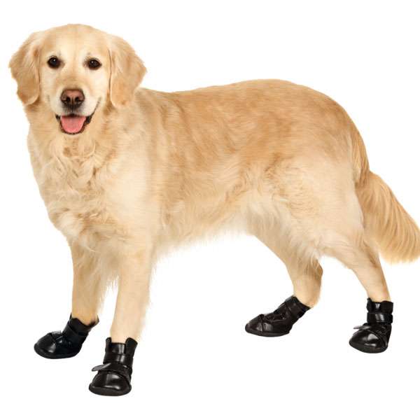 Entdecken Sie die Xtreme Boots – der ideale Schutz für Ihren Hund bei Trekking, Outdoor-Aktivitäten und auf der Straße. Diese hochwertigen Hundeschuhe bieten nicht nur einen komfortablen Schutz vor Grasmilben und Streusalz, sondern sind auch in einer speziellen, anatomischen Form gestaltet, die perfekten Sitz und Halt gewährleistet. Der extra lange Klettverschluss sorgt für eine individuelle Passform, während die robuste Gummisohle für einen sicheren Tritt auf jedem Untergrund sorgt. Im praktischen 4er Set erhältlich, sind die Xtreme Boots eine ausgezeichnete Wahl für aktive Hunde. Um Ihrem Hund die Eingewöhnung zu erleichtern, empfehlen wir, zunächst nur einen Schuh anzuziehen und schrittweise vorzugehen. Achten Sie darauf, dass nach dem Schließen des Klettverschlusses ein Fingerbreit Platz bleibt, um optimalen Komfort zu gewährleisten. Diese Boots sind speziell für den Einsatz im Freien konzipiert – behalten Sie Ihr Haustier dabei stets im Auge. Größe XS: ca. 4,5 x 3,8 cm (LxB), Farbe: Schwarz. Sorgen Sie für den besten Schutz und Komfort für Ihren vierbeinigen Freund mit den Xtreme Boots!