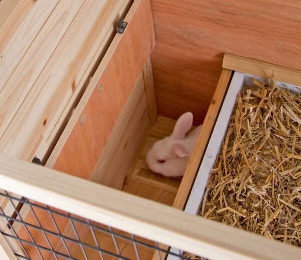 Entdecken Sie unseren **2-stöckigen Kleintierkäfig für den Innenbereich**, der ideal für Ihre kleinen Haustiere ist. Dieser hochwertige Käfig aus **Massivholz mit Holzschutzlasur** bietet nicht nur ein sicheres Zuhause, sondern auch eine ansprechende Optik. Die **erhöhten Umrandungen** verhindern das Herausfallen von Einstreu, während das **Plexiglas** für ausreichend Licht und eine klare Sicht auf Ihre Tiere sorgt. Mit der praktischen **Absperrmöglichkeit zwischen den Stockwerken** und einer **6 cm hohen Kunststoffwanne**, die sich leicht herausziehen lässt, wird die Reinigung zum Kinderspiel. Die **Rollfüße mit Fixierung** ermöglichen ein einfaches Verschieben des Käfigs, und das aufklappbare Dach mit Fixierung sorgt für zusätzlichen Komfort. Der Käfig wird zerlegt geliefert, ist einfach zu montieren und wird mit einer detaillierten Aufbauanleitung geliefert. Maße: **115 x 60 x 118 cm (L x B x H)** – der perfekte Käfig für Ihre kleinen Freunde!