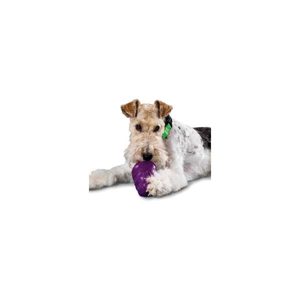 Das "Squirrel Dude" Hundespielzeug von PREMIER ist die perfekte Lösung, um Ihren Hund stundenlang zu beschäftigen und gleichzeitig seine geistigen Fähigkeiten zu fördern. Hergestellt aus extrem robustem und bissfestem Naturgummi, ist dieses Spielzeug nicht nur langlebig, sondern auch ideal für die Füllung mit verschiedenen Trockenfuttern und Leckerlis. Ihr Hund wird die Herausforderung lieben, die Snacks durch sein Geschick und seine Ausdauer zu erlangen. Mit einem unberechenbaren Springverhalten eignet sich der "Squirrel Dude" auch hervorragend als Wurfspielzeug für aktive Spielstunden im Freien. Die Anwendung ist einfach: Schneiden Sie die untere Öffnung je nach Snackgröße und Schwierigkeitsgrad zu, befüllen Sie das Spielzeug und schon kann der Spaß beginnen! Mit einer Größe von ca. 13,5 cm und in einem ansprechenden Lila ist der "Squirrel Dude" nicht nur funktional, sondern auch ein echter Hingucker. Bitte beachten Sie, dass die Lieferung ohne abgebildetes Futter erfolgt. Holen Sie sich jetzt dieses hochwertige Hundespielzeug und bieten Sie Ihrem Vierbeiner stundenlangen Spielspaß!