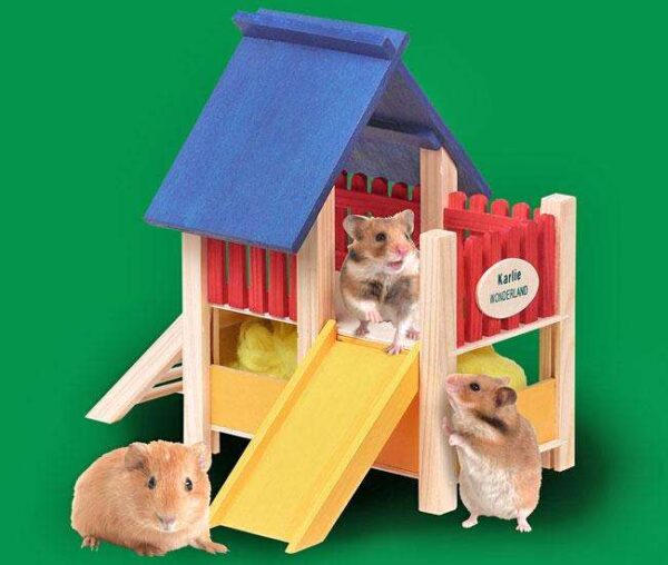 Entdecken Sie den Karlie Wonderland Nager-Spielplatz mit Rutsche, der speziell für Hamster und Mäuse entwickelt wurde. Dieser hochwertige Spielplatz aus Echtholz ist mit ungiftiger Farbe behandelt und sorgt somit für eine sichere Umgebung für Ihre kleinen Freunde. Mit den Maßen von 25 x 20 x 21 cm bietet er ausreichend Platz zum Spielen und Erkunden. Der Spielplatz kommt komplett mit Hamsterwatte, die zusätzlichen Komfort und Geborgenheit für Ihre Tiere bietet. Schaffen Sie eine anregende Spielumgebung für Ihre Nager – ideal für eine artgerechte Haltung und stundenlangen Spielspaß!
