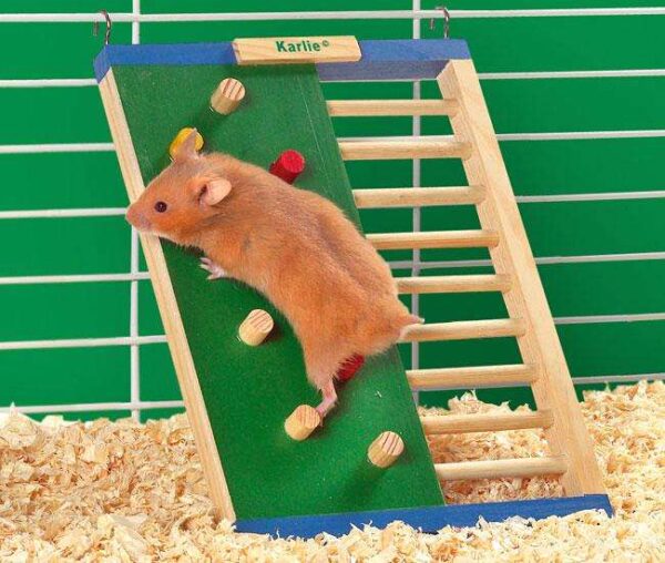 Die **Karlie Wonderland Kletterleiter** ist das perfekte Spielzeug für Hamster und Mäuse, das aus hochwertigem **Echtholz** gefertigt ist und mit **ungiftiger Farbe** behandelt wurde. Mit den kompakten Maßen von **14,5 x 1,5 x 21,5 cm** passt diese Kletterleiter ideal in jedes Kleintiergehege und fördert die Aktivität und den Spielspaß Ihrer kleinen Freunde. Dieses stabile und sichere Zubehör ist nicht nur langlebig, sondern sorgt auch für eine abwechslungsreiche Gestaltung des Lebensraums Ihrer Tiere. Schenken Sie Ihrem Hamster oder Ihrer Maus die Möglichkeit, ihre Kletterfähigkeiten zu entfalten und gleichzeitig ihre Muskulatur zu stärken – eine hochwertige Wahl für glückliche und gesunde Haustiere!