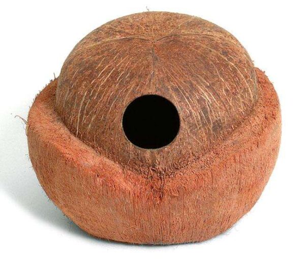 Hochwertiger 13 cm Napf für Kleinnager, ideal für Hamster, Meerschweinchen und Kaninchen.
