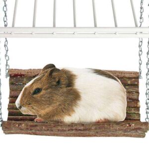 Bringen Sie Schwung und Abwechslung in das Zuhause Ihres Nagers mit unserem hochwertigen Spielzeug zum Einhängen! Dieses aus robustem Echtholz gefertigte Produkt misst 20 x 20 cm und ist perfekt geeignet für jedes Nagerheim. Es fördert die Aktivität und das Wohlbefinden Ihres Haustiers, indem es spielerische Möglichkeiten zum Klettern und Entdecken bietet. Gönnen Sie Ihrem kleinen Freund die beste Qualität und ein ansprechendes Design, das sowohl funktional als auch ästhetisch ist. Ideal für Hamster, Meerschweinchen und andere Nager – für ein glückliches und aktives Leben!