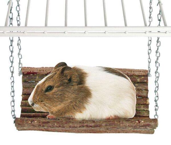 Bringen Sie Schwung und Abwechslung in das Zuhause Ihres Nagers mit unserem hochwertigen Spielzeug zum Einhängen! Dieses aus robustem Echtholz gefertigte Produkt misst 20 x 20 cm und ist perfekt geeignet für jedes Nagerheim. Es fördert die Aktivität und das Wohlbefinden Ihres Haustiers, indem es spielerische Möglichkeiten zum Klettern und Entdecken bietet. Gönnen Sie Ihrem kleinen Freund die beste Qualität und ein ansprechendes Design, das sowohl funktional als auch ästhetisch ist. Ideal für Hamster, Meerschweinchen und andere Nager – für ein glückliches und aktives Leben!