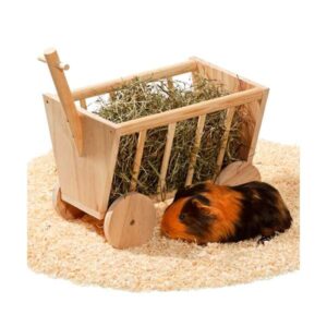 Die niedliche Heuraufe Bollerwagen aus hochwertigem Echtholz ist die perfekte Lösung, um Heu und Grünfutter für Ihre kleinen Tiere bereitzustellen. Diese praktische Raufe lässt sich mühelos montieren und wird mit einer detaillierten Aufbauanleitung geliefert, sodass der Aufbau kinderleicht ist. Erhältlich in drei verschiedenen Größen, finden Sie garantiert die passende Variante für Ihr Haustier, sei es für Meerschweinchen oder andere Kleintiere. Mit den kompakten Maßen von ca. 29 x 19 x 21 cm ist diese Heuraufe ideal für den Einsatz im Innen- und Außenbereich. Überzeugen Sie sich selbst von der hohen Qualität und Funktionalität dieser Bollerwagen-Raufe – für glückliche und gesunde Tiere!
