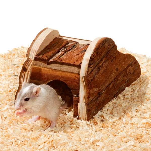 Das Spiel- und Schlafhaus Walker aus hochwertigen Naturmaterialien ist die ideale Wahl für Ihr Kleintier. Es bietet zahlreiche Möglichkeiten zum Spielen, Entspannen und Ausruhen. Die extra breite Ein- und Ausgangsöffnung gewährleistet einen bequemen Zugang und sorgt gleichzeitig für eine optimale Luftzirkulation – perfekt für ein gesundes Lebensumfeld. Auf der Rückseite findet sich ein sanfter Aufgang mit drei Sprossen, der es selbst weniger kletterfreudigen Tieren wie Meerschweinchen ermöglicht, das Dach als zusätzlichen Rückzugsort zu nutzen. Dieses vielseitige Häuschen eignet sich hervorragend für Mäuse und ähnliche kleine Tiere. Mit Außenmaßen von ca. 15 x 9,5 x 8 cm (LxBxH) und einem Eingangsbereich von ca. 5 x 3,5 cm (BxH) ist es sowohl platzsparend als auch funktional. Schaffen Sie mit dem Spiel- und Schlafhaus Walker einen gemütlichen Rückzugsort für Ihr Lieblingstier!
