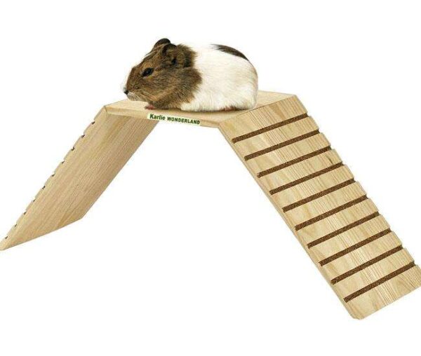 Die Karlie Wonderland Holzbrücke Relax ist das perfekte Zubehör für kleine Nager wie Hamster, Mäuse und Ratten. Hergestellt aus hochwertigem Echtholz, bietet diese stabile Brücke nicht nur eine sichere Spiel- und Klettermöglichkeit, sondern trägt auch zur natürlichen Beschäftigung Ihrer Tiere bei. Mit den kompakten Abmessungen von 47 x 15 x 19 cm (LxBxH) passt sie ideal in jedes Nagergehege. Diese Holzbrücke fördert die Gesundheit und das Wohlbefinden Ihrer kleinen Freunde, indem sie ihnen die Möglichkeit gibt, ihre Umgebung auf spielerische Weise zu erkunden. Investieren Sie in die Karlie Wonderland Holzbrücke Relax und bieten Sie Ihren Nager ein hochwertiges und sicheres Spielvergnügen!