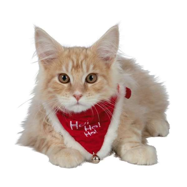 Verleihen Sie Ihrem Haustier die perfekte Weihnachtsstimmung mit diesem niedlichen Halsband, das ein festliches Halstuch beinhaltet. Dieses Halsband ist in vier verschiedenen Größen erhältlich und eignet sich sogar in Größe XS-S für Katzen! Hergestellt aus hochwertigem rotem Nylon, überzeugt es durch eine goldfarbene Schnalle und eine goldfarbene Schelle, die dem Design einen eleganten Touch verleihen. Das Halstuch ist aus weichem Samt gefertigt und mit einem weißen Plüschrand versehen, der für zusätzlichen Komfort sorgt. Ein kleines Glöckchen am Halstuch und der aufgestickte Schriftzug "Ho! Ho! Ho!" machen das weihnachtliche Erscheinungsbild perfekt. Mit einer verstellbaren Größe von ca. 21,5 bis 30 cm und einer Breite von 15 mm ist dieses Halsband ideal für stilbewusste Haustierbesitzer, die ihren Lieblingen eine festliche Note verleihen möchten. Holen Sie sich jetzt dieses hochwertige Weihnachtsaccessoire für Ihr Haustier!