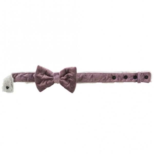 Entdecken Sie unser hochwertiges Halsband in Samt-Optik, das aus weichem Plüsch (Polyester) gefertigt ist und Ihrem Haustier einen stilvollen Look verleiht. Mit drei praktischen Druckknöpfen lässt sich das Halsband einfach anpassen und sorgt für optimalen Tragekomfort. Die ansprechende Farbe Flieder bringt frischen Wind in die Garderobe Ihres Vierbeiners. Dieses Halsband ist ideal für Hunde mit einem Halsumfang von 30 bis 45 cm und einer Breite von 40 mm. Entscheiden Sie sich für Qualität und Stil – ein günstiges, langlebiges Halsband für modebewusste Haustierbesitzer!