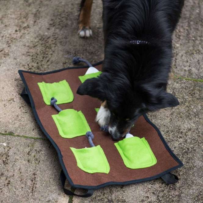 Entdecken Sie die innovative Action-Schnüffelmatte, die speziell für Hunde entwickelt wurde, die herkömmliche Schnüffelmatten als zu langweilig empfinden. Diese hochwertige Schnüffelmatte bietet spannende Herausforderungen und lässt sich flexibel im Schwierigkeitsgrad anpassen. Mit einer Größe von ca. 60 x 36 cm ist die Matte mit 6 großen Filztaschen und 6 Greifkordeln ausgestattet, die mit einem Leckerlituch versehen sind. Füllen Sie zunächst Leckerlis oder Trockenfutter in die Filztaschen und steigern Sie den Spaß, indem Sie die Leckerlis in die Leckerlitücher einwickeln. Ihr Hund wird begeistert sein, die versteckten Leckerlis zu erschnüffeln und sie mit Geschicklichkeit herauszuziehen. Die Action-Schnüffelmatte kann sowohl auf dem Boden platziert als auch mit den praktischen Gurten beispielsweise an einer Stuhllehne befestigt werden. Variieren Sie den Schwierigkeitsgrad, indem Sie die Matte mit den Öffnungen nach unten oder oben aufhängen. Diese vielseitige und waschbare Schnüffelmatte in Braun-Grün-Weiß ist der perfekte Spielspaß für Ihren Hund!