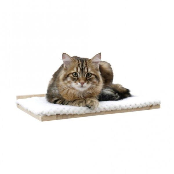 Entdecken Sie unser 4-teiliges Katzenbaum-Set, das speziell für die Bedürfnisse Ihrer Katze entwickelt wurde. Die Trittstufe mit Sisal hat eine Höhe von 15 cm und einen Durchmesser von 9 cm, ideal für das sichere Klettern Ihrer Katze. Das Liegebrett mit abnehmbarem Kissen misst 40 x 31 cm und bietet einen komfortablen Platz zum Entspannen. Die Sisalsäule als Rampe ist 50 cm hoch und hat ebenfalls einen Durchmesser von 9 cm, perfekt für das Kratzen und Spielen. Zudem verfügt der Katzenbaum über eine gemütliche Hängematte mit den Maßen 35 x 33 cm. Hergestellt aus hochwertigem Massivholz, ist dieser Katzenbaum nicht nur stabil, sondern auch zur Wandbefestigung geeignet. Mit der verklebten Sisaloberfläche an der Säule bietet er Ihrer Katze ein sicheres und langlebiges Spielerlebnis. Gönnen Sie Ihrer Katze den besten Platz zum Spielen und Entspannen!" **Keywords:** Katzenbaum, 4-teilig, Trittstufe, Sisal, Liegebrett, Hängematte, Massivholz, Wandbefestigung, Kratzen, Spielen.