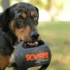 Der Bomber Xtreme ist das ideale Hundespielzeug für aktive Vierbeiner und ihre Besitzer. Optimal als Schleuder- oder Zieh- und Zerrspielzeug konzipiert, ermöglicht es größere Schleuder-Distanzen und sorgt für stundenlangen Spielspaß. Hergestellt aus widerstandsfähigem, 5 mm dickem Gummi und ausgestattet mit robusten Gummigriffen, ist dieses Spielzeug nicht nur langlebig, sondern auch stichfest. Bei der Entwicklung wurde besonders auf die Interaktion zwischen Mensch und Hund geachtet, denn die Zeus Hundespielzeuge sind keine Kauspielzeuge! Egal ob Werfen, Treten, Ziehen, Suchen oder Apportieren – der Bomber Xtreme bietet ungeahnte Möglichkeiten für abwechslungsreiche Spiele. Mit einem Durchmesser von ca. 11,5 cm ist es perfekt für alle Hunderassen und sorgt für viel Freude und Bewegung. Entdecken Sie die hohe Qualität und den Spaß, den dieses Spielzeug Ihrem Hund bieten kann!
