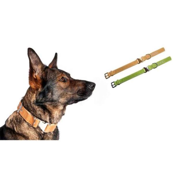 Die Buffalo Ultra 2.0 Halsbänder sind die perfekte Wahl für anspruchsvolle Hundebesitzer, die Wert auf Qualität und Stil legen. Hergestellt aus hochwertigem, wasserabweisendem Büffelleder, bieten diese Halsbänder sowohl Langlebigkeit als auch Komfort. Die praktische Quick-Release-Schnalle ermöglicht ein einfaches An- und Ablegen, während die verstellbare Schnalle mit Metalleinsätzen eine optimale Passform garantiert. Mit ihrem frischen Design wirken die Halsbänder sowohl elegant als auch sportlich und sind in einem ansprechenden Hellbraun mit Bisquit-Unterlage erhältlich. Die Gesamtlänge von ca. 55 cm und eine Breite von ca. 25 mm machen dieses Halsband zu einem idealen Accessoire für Ihren vierbeinigen Freund. Entscheiden Sie sich für das Buffalo Ultra 2.0 Halsband und genießen Sie hohe Qualität und stilvolles Design für Ihren Hund!