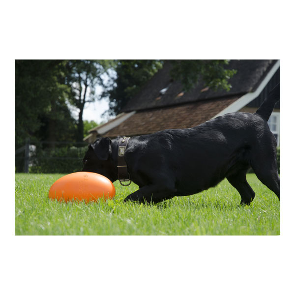 Dieser hochwertige Hundespielzeug-Komet ist einfach unwiderstehlich! Er schießt in alle Richtungen, wenn Ihr Hund ihn greifen oder festklammern möchte, und ist perfekt für den Einsatz in flachem Wasser. Mit einem Durchmesser von ca. 20 cm und in einem ansprechenden Rosa sorgt er für maximalen Spielspaß und Unterhaltung. Dank seiner robusten Bauweise ist er ideal für aktive Hunde und hält auch intensiven Spielstunden stand. Lassen Sie Ihren Hund mit diesem einzigartigen Spielzeug die Freude am Spielen im Wasser entdecken!