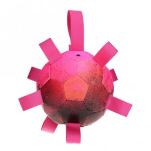 Nach der beeindruckenden Explosion einer HYPERNOVA sind die einzigartigen Dog Comets Hypernova-Bälle aus dem Weltraum auf die Erde gefallen, um Ihrem Hund maximalen Spaß zu bieten! Dieser hochwertige Hundeball besteht aus drei robusten Schichten: Der innere Anti-Leck-Ball aus Kautschuk ist von einer strapazierfähigen Baumwollschicht umgeben, während die Außenseite aus langlebigem PU-Material gefertigt ist. Dies sorgt dafür, dass der Ball weich, langlebig und perfekt zum Springen ist. Er ist sicher für die Zähne Ihres Hundes und lässt sich dank der praktischen Nylonschlaufen leicht aufnehmen und werfen – sowohl an Land als auch im Wasser. Der Ball schwimmt, ist stark und wird einfach mit der mitgelieferten Pumpe aufgepumpt. Mit einem Durchmesser von ca. 15 cm und in der auffälligen Farbe Pink ist dieser Hypernova-Ball das ideale Spielzeug für aktive Hunde!" **Keywords:** Hundeball, hochwertig, langlebig, sicher für die Zähne, schwimmend, einfach aufzupumpen, Spaß für Hunde.