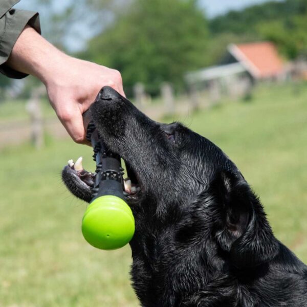 Dieser hochwertige Wurfstock für Hunde ist aus strapazierfähigem Gummi gefertigt und bietet eine perfekte Sprungkraft, die für stundenlangen Spielspaß sorgt. Das spezielle Material massiert sanft das Zahnfleisch und hilft, die Zähne Ihres Hundes sauber zu halten, was zur Zahngesundheit beiträgt. Mit einem integrierten Quietscher sorgt dieser Wurfstock für noch mehr Freude beim Spielen. Erhältlich in der attraktiven Farbe Pink und in der Größe S mit einer Länge von ca. 22 cm, ist dieser Wurfstock das ideale Spielzeug für kleine Hunde. Machen Sie das Spielen mit Ihrem Vierbeiner zu einem unvergesslichen Erlebnis!