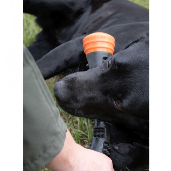 Dog Comets Meteor Wurfstock - Orange / L – Bild 3