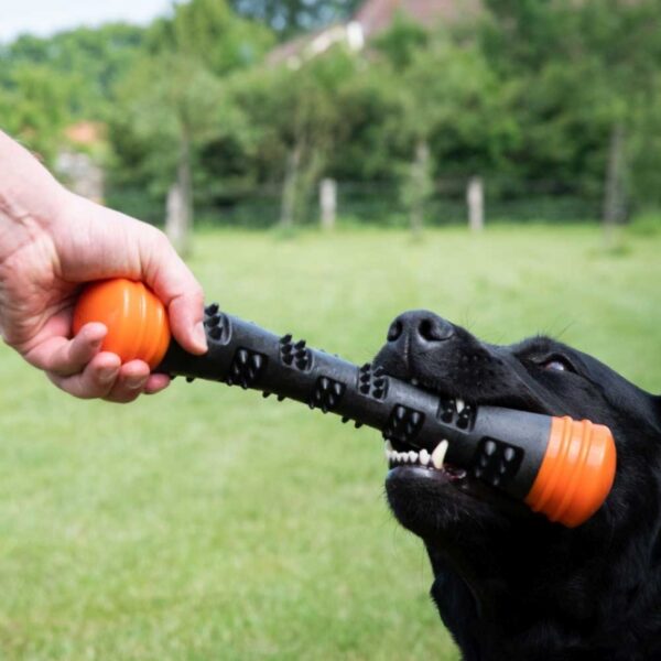Dog Comets Meteor Wurfstock - Orange / L – Bild 4