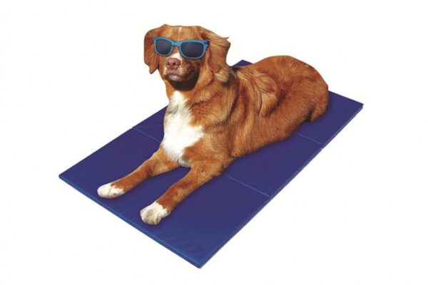 Diese hochwertige Kühlmatte für Hunde und Katzen sorgt für eine angenehme Abkühlung an heißen Tagen. Die Kühlung wird automatisch durch den Gewichtsdruck Ihres Tieres aktiviert, wodurch kein Strom oder Kühlschrank benötigt wird. Mit ihren ungiftigen Materialien bietet die Matte nicht nur optimale Kühlung und Liegekomfort, sondern auch körperliche Entlastung für Ihr Haustier. Sie hilft, Überhitzung zu vermeiden und lässt sich einfach mit einem feuchten Tuch reinigen. Dank ihrer hohen Qualität und der praktischen Transportfähigkeit ist diese Kühlmatte ideal für den Einsatz zu Hause oder unterwegs. Größe: ca. 110 x 70 cm – perfekt für kleine und große Tiere!