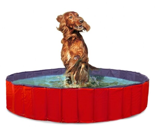 Entdecken Sie den DOGGY POOL – den perfekten Swimmingpool für Hunde! Dieser hochwertige Hundepool lässt sich in Sekundenschnelle auf- und abbauen, ganz ohne Luftpumpe oder mühsames Aufblasen. Der rutschfeste Innenboden sorgt für Sicherheit beim Planschen, während das robuste, krallenbewährte Material Langlebigkeit garantiert. Bei Nichtgebrauch können Sie den Pool platzsparend zusammenlegen. Ein praktisches Wasser-Ablassventil macht die Reinigung besonders einfach und hygienisch. Zudem ist der DOGGY POOL auch in einer rechteckigen Form erhältlich, ideal für Balkons oder Terrassen mit Mauerbrüstung. Mit einer Größe von ca. 160 x 30 cm und in der attraktiven Farbe Rot-Blau ist dieser Pool der ideale Sommerbegleiter für Ihren vierbeinigen Freund! Genießen Sie unbeschwerte Stunden im Wasser mit Ihrem Hund!