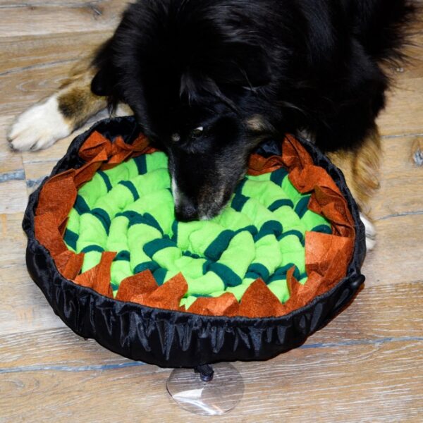 Die Schnüffelmatte ist das ideale Spielzeug, um deinen Hund spielerisch zu beschäftigen und gleichzeitig seine Konzentration zu fördern. Diese hochwertige Schnüffelmatte kombiniert Nasenarbeit und Kopfarbeit, wodurch dein Hund nicht nur Spaß hat, sondern auch geistig gefordert wird. Wusstest du, dass 10 Minuten Schnüffeltraining einer Stunde Laufen entspricht? Die robuste und langlebige Matte besteht aus dickem Vlies und ist mit einem Antirutschbelag ausgestattet, der durch extra Saugnäpfe für sicheren Halt sorgt. Sie lässt sich einfach verstauen und transportieren und ist zudem maschinenwaschbar, was die Pflege erleichtert. Mit einem Durchmesser von ca. 40 cm ist sie perfekt für Hunde jeder Größe. Entdecke jetzt die Vorteile der Schnüffelmatte und fördere die geistige Fitness deines Vierbeiners!