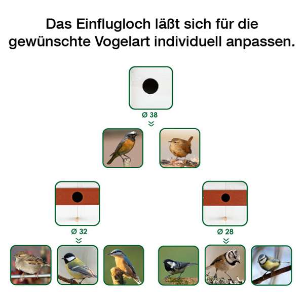 Entdecken Sie unseren hochwertigen Nistkasten für Wildvögel, ideal für den Außenbereich! Die Produktlinie "Free Life" von FOP wird aus heimischem Birken- und Fichtenholz gefertigt und erfüllt alle Nistbedürfnisse von Wildvögeln. Die verwendeten Farben sind natürlich ungiftig, sodass Sie sich keine Sorgen um die Sicherheit der gefiederten Bewohner machen müssen. Dank der mitgelieferten Adapterleisten können Sie das Einflugloch flexibel auf 28, 32 oder 38 mm anpassen, was eine optimale Zugänglichkeit gewährleistet. Eine praktische Sitzstange unterstützt die Vögel beim Ein- und Ausflug. Der Nistkasten lässt sich seitlich öffnen, um die Brut zu kontrollieren, und eine Plexiglasscheibe schützt die kleinen Bewohner. Drainagebohrungen in der Bodenplatte verhindern Staunässe, während Lüftungsschlitze unter dem Dach für einen idealen Luftaustausch sorgen. Mit den kompakten Maßen von ca. 17,5 x 17,5 x 28,5 cm (H) ist dieser Nistkasten die perfekte Wahl für Vogelliebhaber, die eine sichere und komfortable Unterkunft für Wildvögel schaffen möchten!