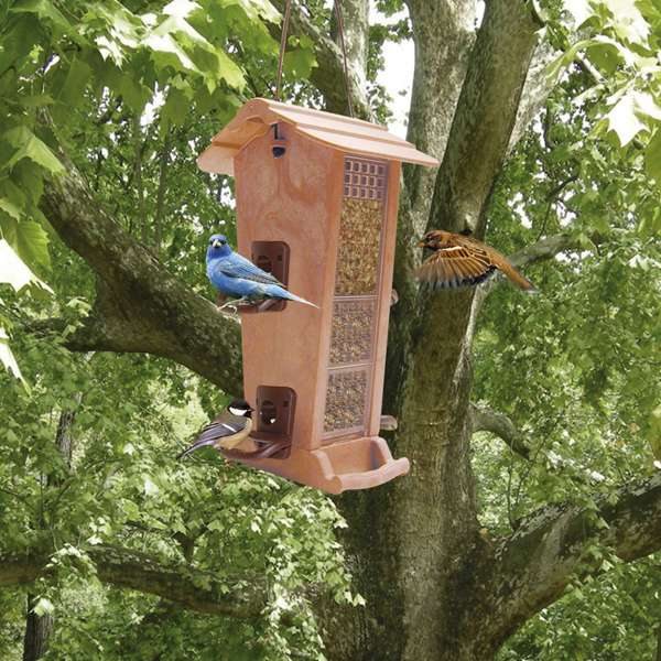 Entdecken Sie unser formschönes Futterhaus aus stabilem, wetterfestem Kunststoff, ideal für Wild- und Volierenvögel. Dieses hochwertige Futterhaus verfügt über zwei Fächer, die eine gleichzeitige Fütterung mit verschiedenen Samen und Nüssen ermöglichen. Die praktische Befüllung erfolgt über das abnehmbare Dach, während die Vögel bequem über die beiden Sitzstangen oder die seitlichen Anfluglöcher auf das Futter zugreifen können. Der Bausatz ist einfach zusammenzustecken und bietet eine robuste Lösung für die Vogelfütterung. Mit kompakten Maßen von ca. 19 x 18 x 32 cm passt es perfekt in jeden Garten oder Balkon. Holen Sie sich jetzt dieses günstige und funktionale Futterhaus für Ihre gefiederten Freunde!