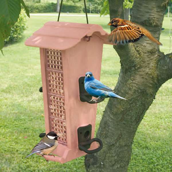 Entdecken Sie unser formschönes Futterhaus aus stabilem, wetterfestem Kunststoff, ideal für Wild- und Volierenvögel. Dieses hochwertige Futterhaus verfügt über zwei Fächer, die eine gleichzeitige Fütterung mit verschiedenen Samen und Nüssen ermöglichen. Die praktische Befüllung erfolgt über das abnehmbare Dach, während die Vögel bequem über die beiden Sitzstangen oder die seitlichen Anfluglöcher auf das Futter zugreifen können. Der Bausatz ist einfach zusammenzustecken und bietet eine robuste Lösung für die Vogelfütterung. Mit kompakten Maßen von ca. 19 x 18 x 32 cm passt es perfekt in jeden Garten oder Balkon. Holen Sie sich jetzt dieses günstige und funktionale Futterhaus für Ihre gefiederten Freunde!