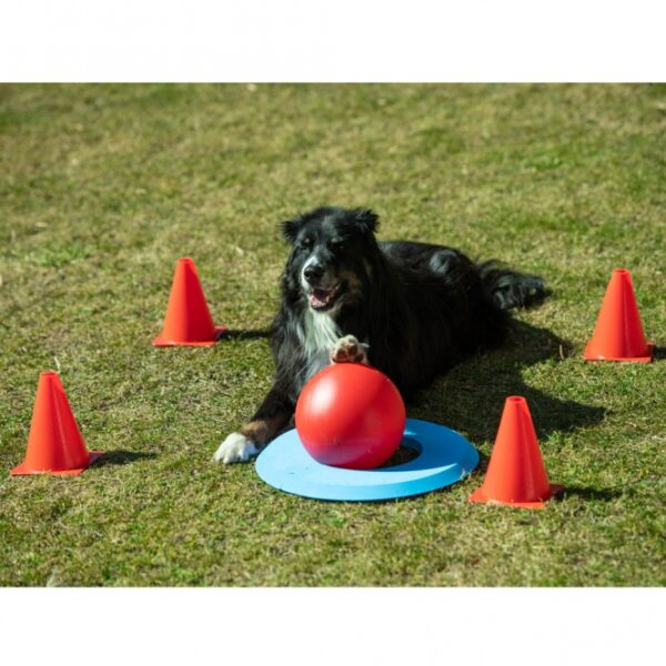 Entdecken Sie den neuen Trend Dog Golf, ein spannendes Spielzeug für Hunde, bei dem Ihr vierbeiniger Freund den Ball in den Ring befördern muss – ganz ähnlich wie beim Golf. Mit dem speziellen Treibball, den Ihr Hund mit der Nase oder den Pfoten schubsen kann, wird das Training zum Vergnügen. Dank der mitgelieferten 4 Pylonen (18 cm) können Sie den Schwierigkeitsgrad individuell an die Fähigkeiten Ihres Hundes anpassen und so einen abwechslungsreichen Parcours gestalten. Im Set enthalten sind außerdem ein teilbarer Zielring aus hochwertigem EVA Kunststoff, ein Clicker für das gezielte Training und ein Treibball mit einem Durchmesser von 20 cm. Bitte beachten Sie, dass der Treibball nicht zum Spielen geeignet ist, um Zahnschäden zu vermeiden. Machen Sie das Training mit Dog Golf zu einem unterhaltsamen Erlebnis für Ihren Hund!