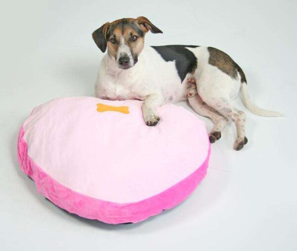 Entdecken Sie unser kuscheliges Herz-Kissen, speziell entworfen für kleine Hunde und Katzen. Die Oberseite besteht aus hochwertigem, weichem Samtvelour in einem ansprechenden Hell- und Dunkel-Pink, verziert mit einem niedlichen Knochen-Design in Orange. Die Unterseite ist aus robustem Kunststoff gefertigt, um optimalen Nässeschutz zu gewährleisten. Dank des praktischen Reißverschlusses lässt sich die Hülle mühelos abnehmen und bei 30° C in der Handwäsche reinigen. Mit einer Größe von ca. 65 x 52 x 10 cm bietet dieses Kissen nicht nur Komfort, sondern auch Stil für Ihr Haustier. Gönnen Sie Ihrem Liebling dieses gemütliche Kissen und sorgen Sie für entspannte Stunden!