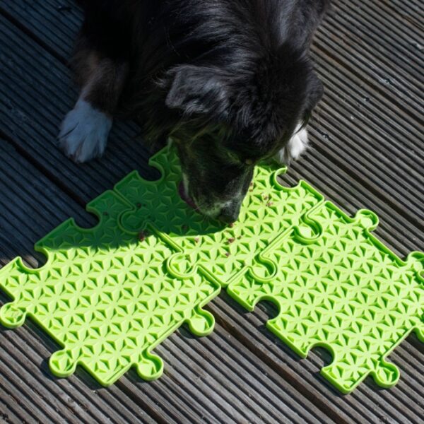 Entdecken Sie die perfekte Beschäftigung für Ihren Hund mit der hochwertigen Schleckplatte von Ladi Mat! Diese innovative Leckmatte ermöglicht es Ihnen, die Oberfläche einfach mit einer köstlichen Leckerei zu bestreichen, sodass Ihr Hund stundenlangen und leckeren Spaß hat. Ideal zur Abkühlung kann die Schleckplatte sogar mit der Leckerei eingefroren werden – so bleibt Ihr Vierbeiner auch an heißen Tagen beschäftigt und glücklich. Die Ladi Mat Puzzle ist erweiterbar und besteht aus ungiftigem Silikon mit einem speziellen Anti-Rutsch-Belag in Lebensmittelqualität. Sie ist spülmaschinengeeignet und frostfest, was sie besonders pflegeleicht macht. Mit einer Größe von ca. 23 x 23 cm und in einem ansprechenden Grün ist diese Schleckplatte ein Muss für jeden Hundebesitzer, der Wert auf Qualität und Sicherheit legt!